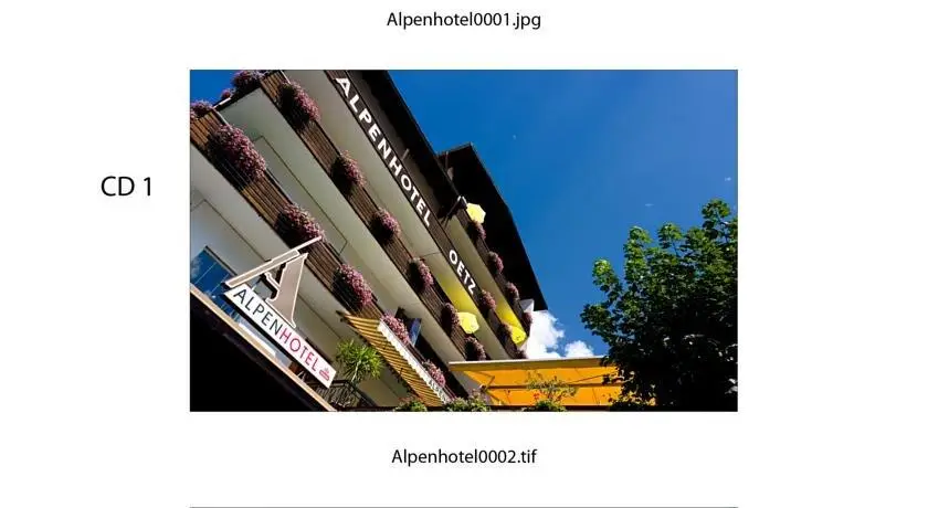 Alpenhotel 