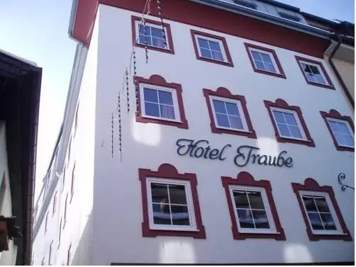 Hotel Traube Zell am See