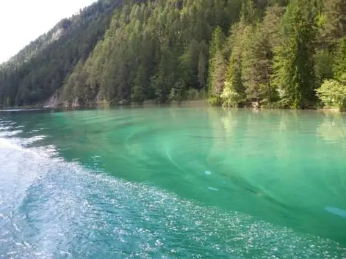 Hotel Wiesenhof direkt am See 