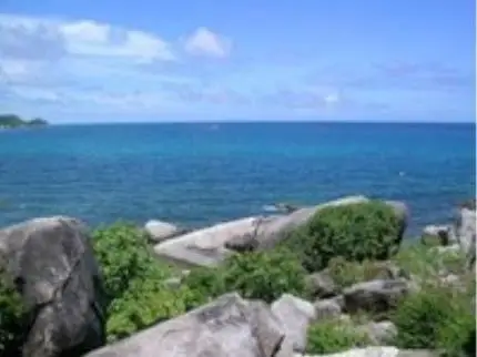 Koh Tao Cabana 