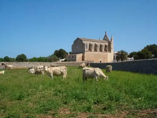 Llucmacanes Gran Agroturismo 