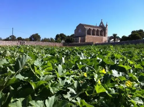 Llucmacanes Gran Agroturismo 