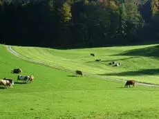 Wohlfuhlbauernhof Bambichlhof 