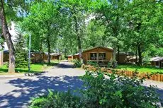 Albirondack Camping Lodge & Spa 