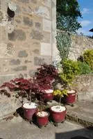 Backmarch House Bed and Breakfast Dunfermline 