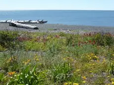 Napier Beach Kiwi Holiday Park and Motels 