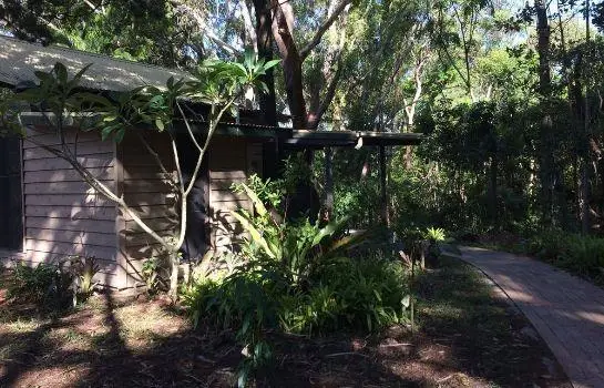 Byron Bay Rainforest Resort