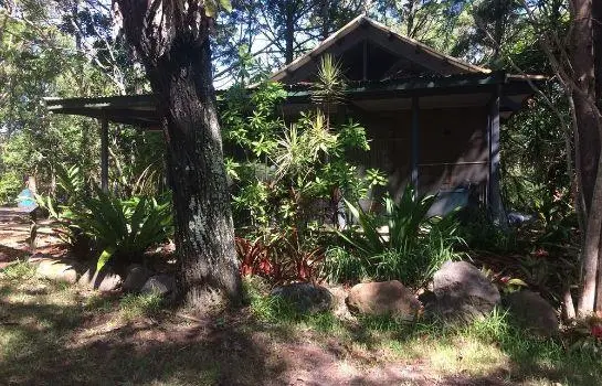 Byron Bay Rainforest Resort 