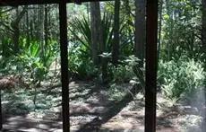 Byron Bay Rainforest Resort 