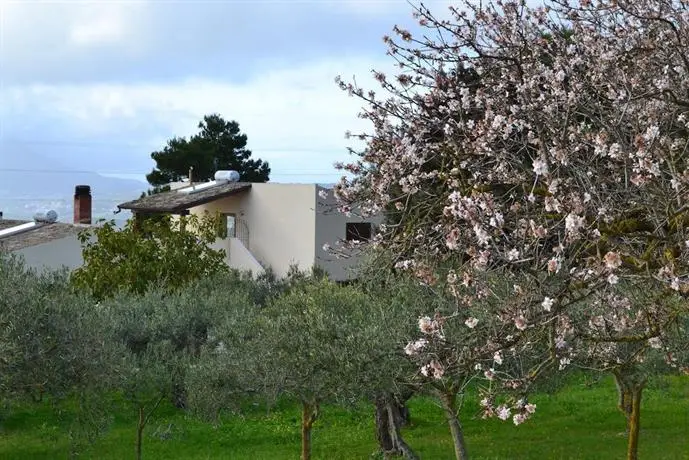 Acqua di Menta 