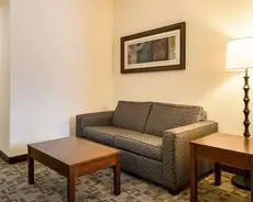 Comfort Suites Oil Center Lafayette 