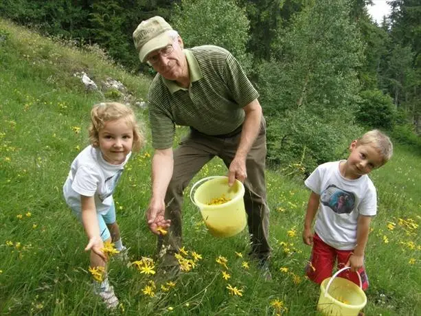 Eigner Fruehstueckspension