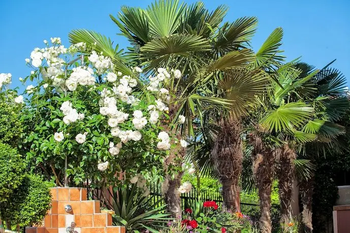 Casa Di Mare Katerini 