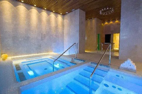 Hotel & Spa Arzuaga Swimming pool