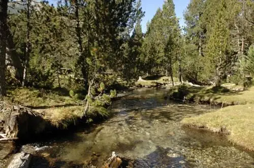 Alta Muntanya Apartaments Vall de Boi 