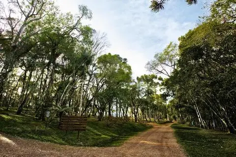 Laje de Pedra Hotel & Resort 