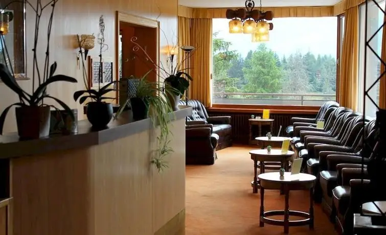 Hotel Elite Crans-Montana Bar / Restaurant