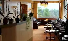 Hotel Elite Crans-Montana Bar / Restaurant