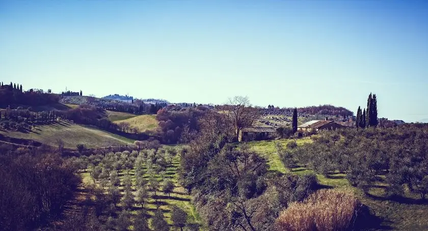 Bio-Agriturismo La Ginestra 