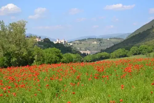 Valle Rosa Country House 