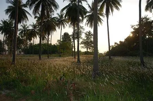 Poda Island Resort Krabi 