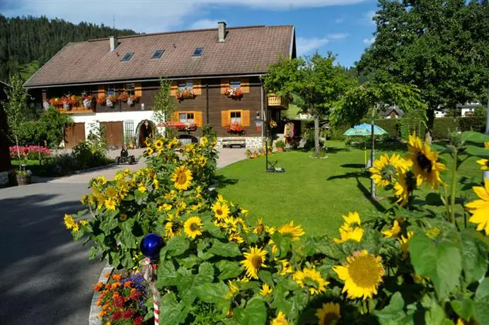 Bauernhof Ferienbauernhof Arnoldgut Farmhouse Radstadt 