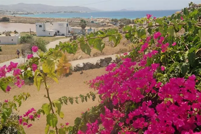 Panoramic View Naxos Island 