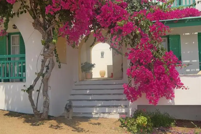 Panoramic View Naxos Island 