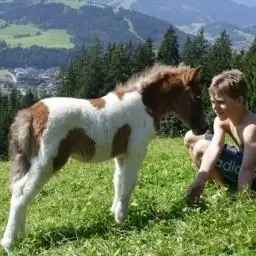 Ferienbauernhof Habersatt Farmhouse Altenmarkt im Pongau