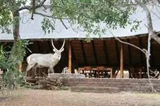 Masorini Bush Lodge 