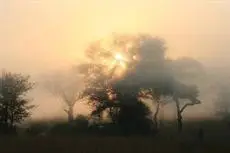 Masorini Bush Lodge 