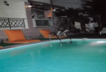 Alika Hotel Swimming pool