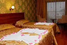 Meril Hotel room
