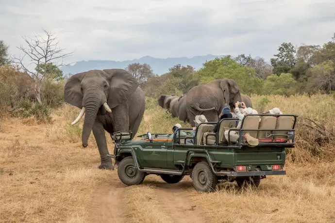 Shiduli Private Game Lodge 