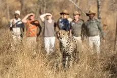 Shiduli Private Game Lodge 