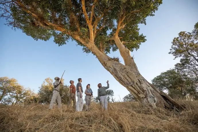 Shiduli Private Game Lodge 