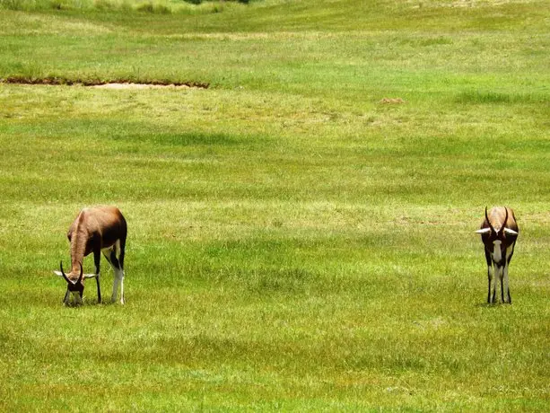 Legend Golf & Safari Resort 