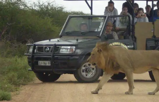 Kubu Safari Lodge