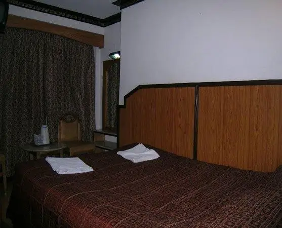 Hotel Golden Pagoda room