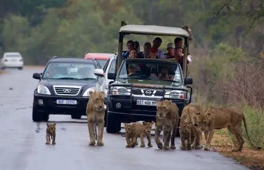 Phumula Kruger Lodge and Safaris 