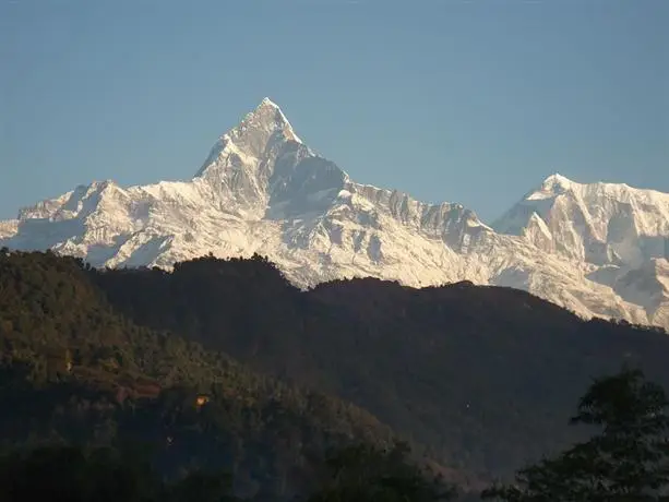 New Pokhara Lodge 