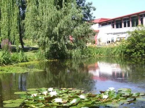 Ferienhaus Bad Waltersdorf 