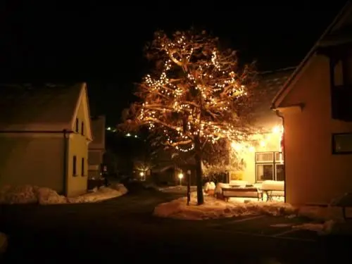 Ferienhaus Bad Waltersdorf 