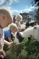 Hocheggerhof - Urlaub am Kinderbauernhof 