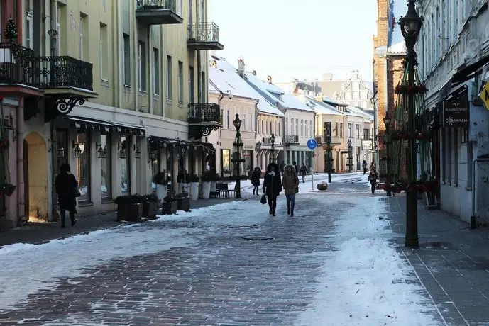 Kaunas Old Town Apartments 