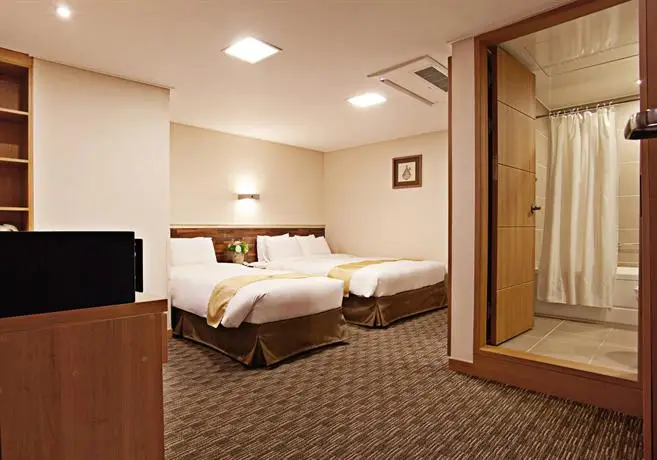 Hotel Skypark Myeongdong I 