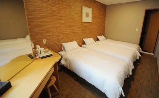 Hotel Skypark Myeongdong I 