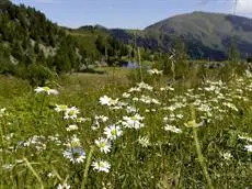 Schi- und Wanderhotel Berghof 