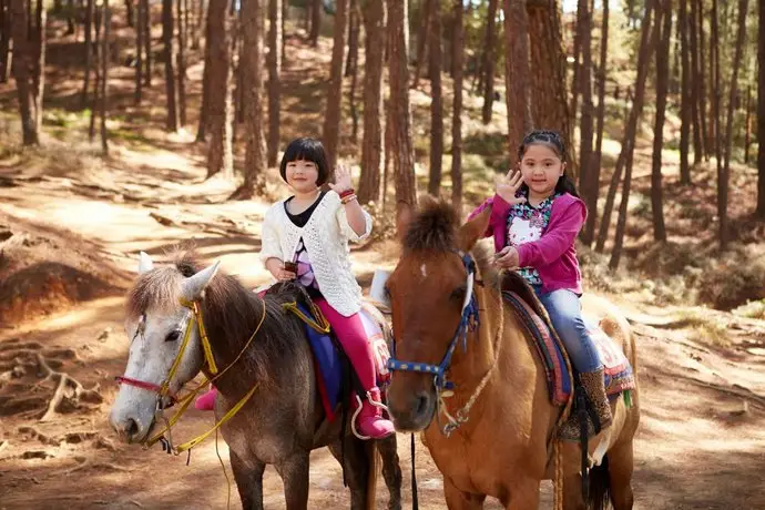 The Manor at Camp John Hay 