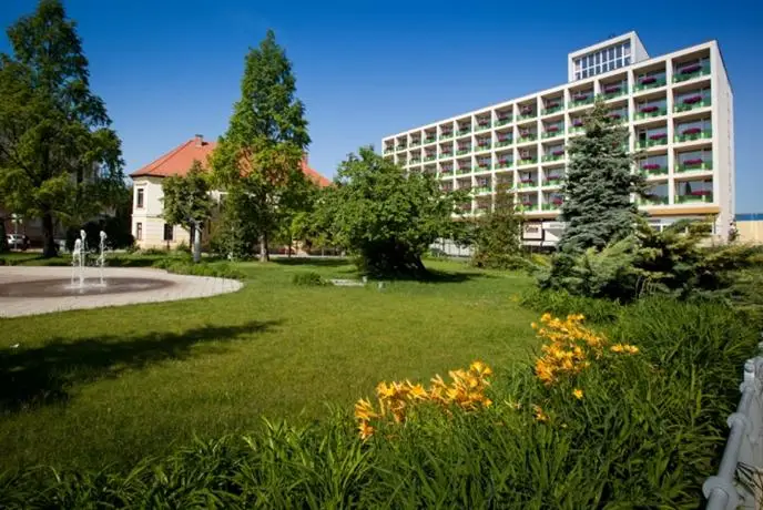 Aranyhomok Business City-Wellness-Hotel 